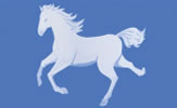 Wild Horse, Blau